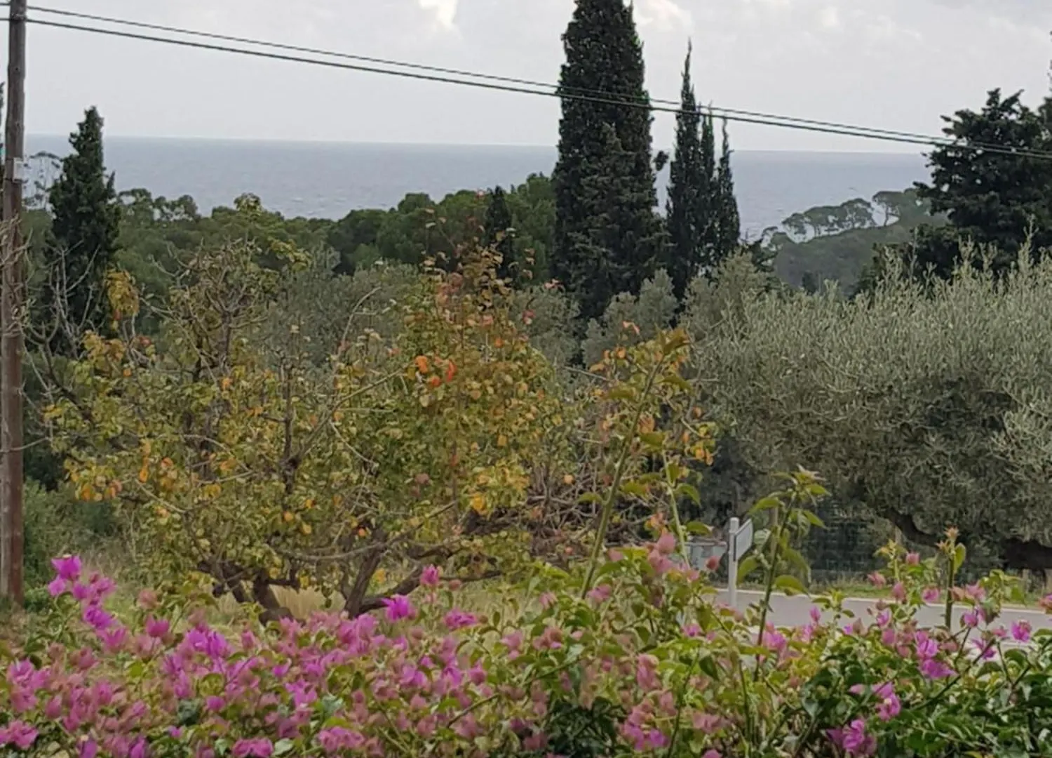 Hotel Nuevo Ondina Begur