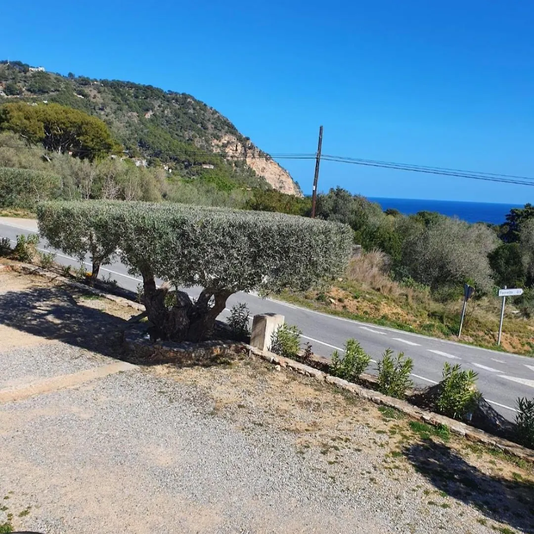 Hotel Nuevo Ondina Begur